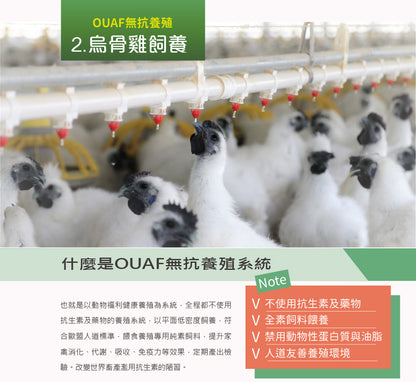 優補達人-膠原烏骨滴雞精 Chicken Essence HA