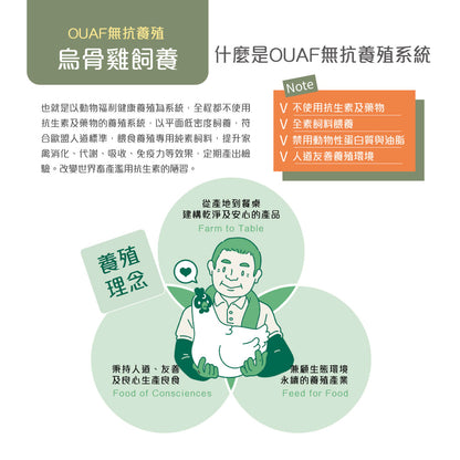 優補達人-元氣烏骨滴雞精(Plus) Chicken Essence