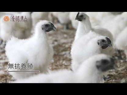 優補達人-膠原烏骨滴雞精 Chicken Essence HA